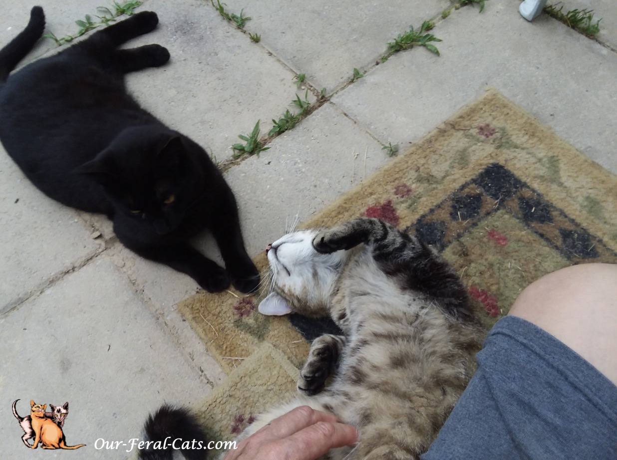  Little Man joined us 