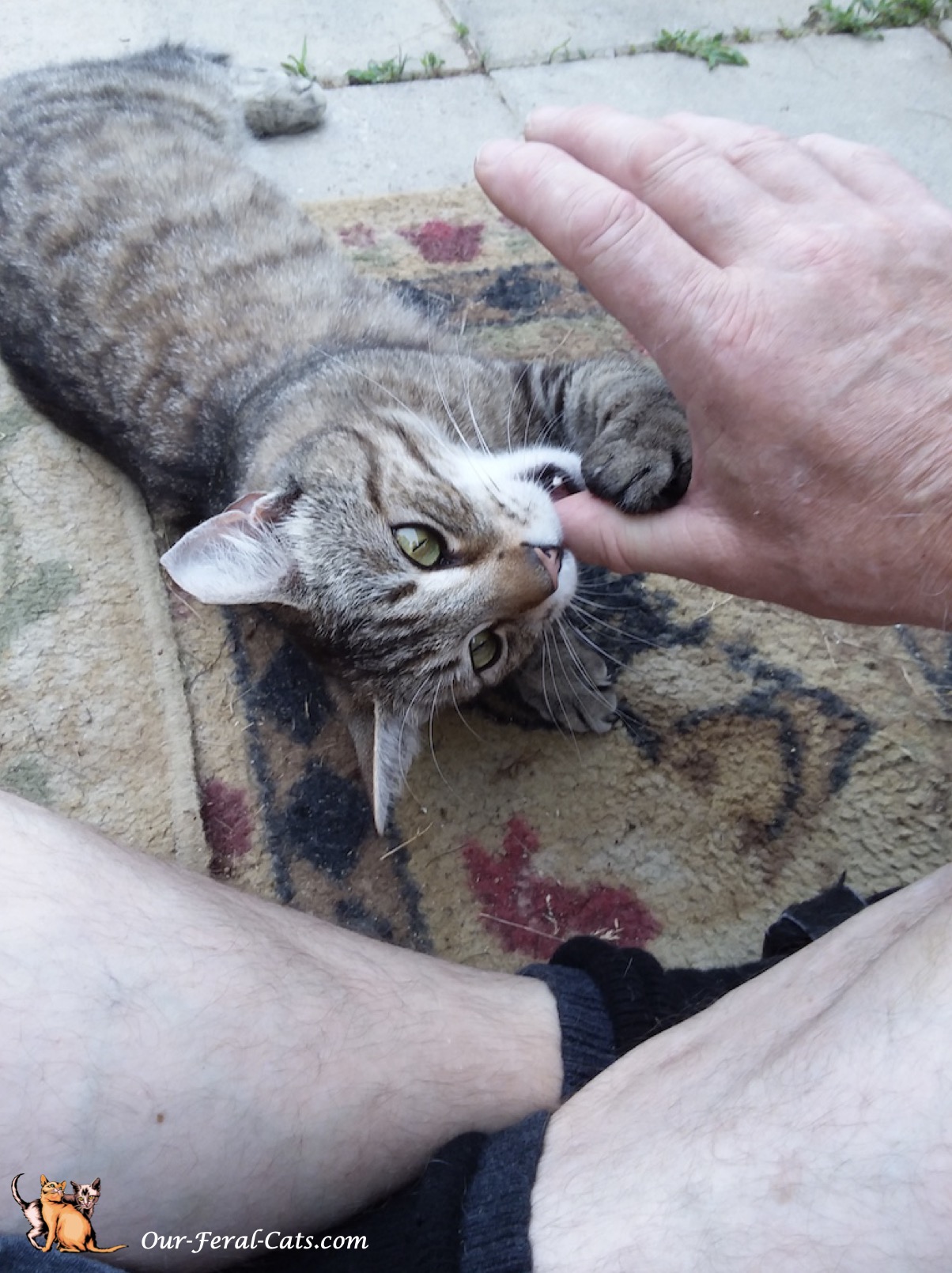  Goofing around with grumpy 