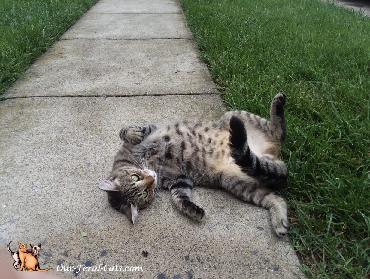  Grumpy hanging out front 