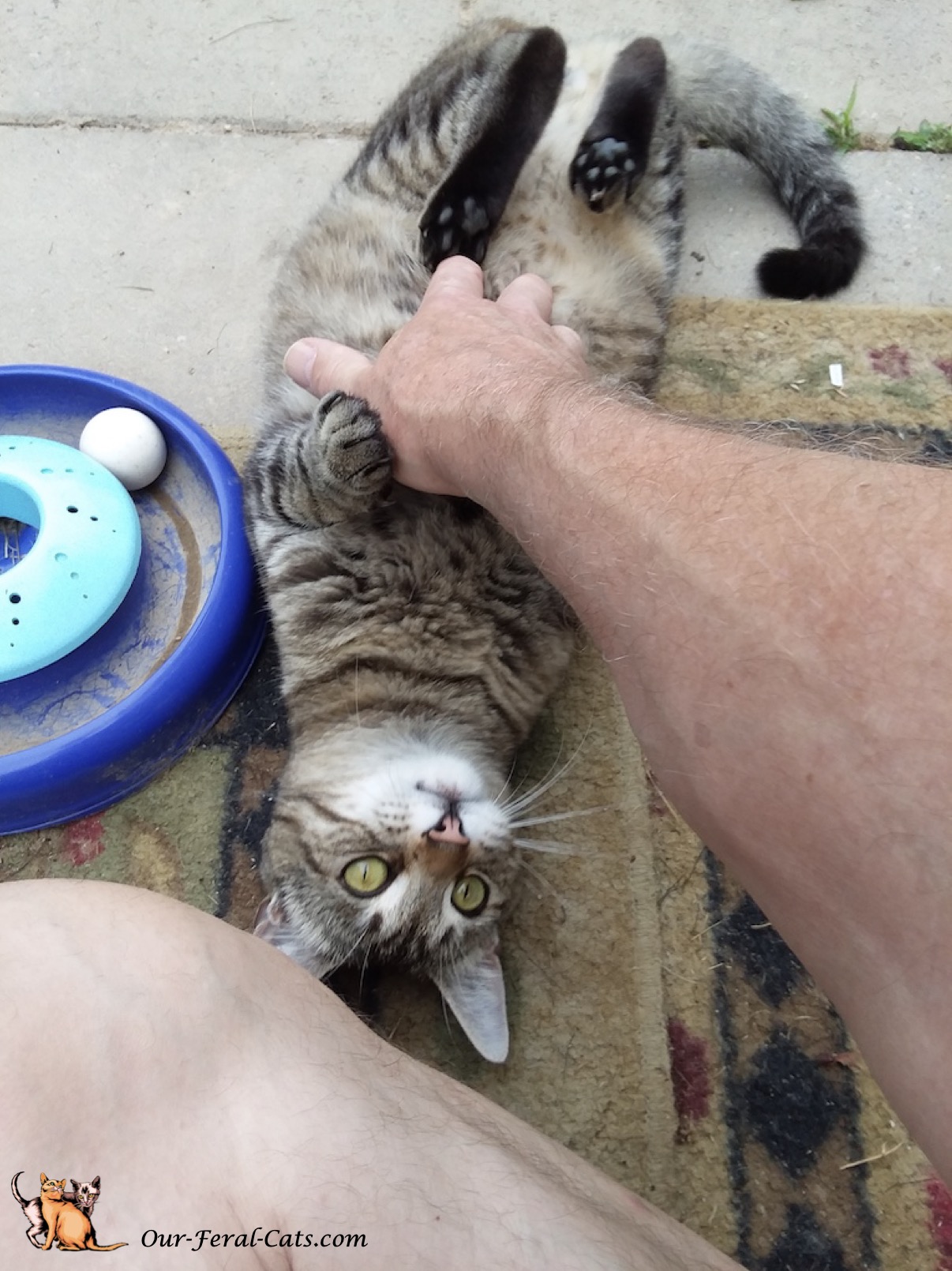  Goofing around with grumpy 