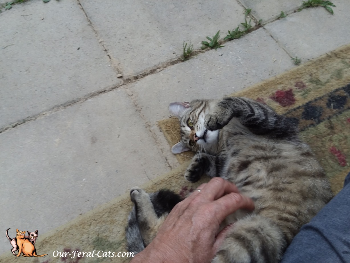  Goofing around with grumpy 