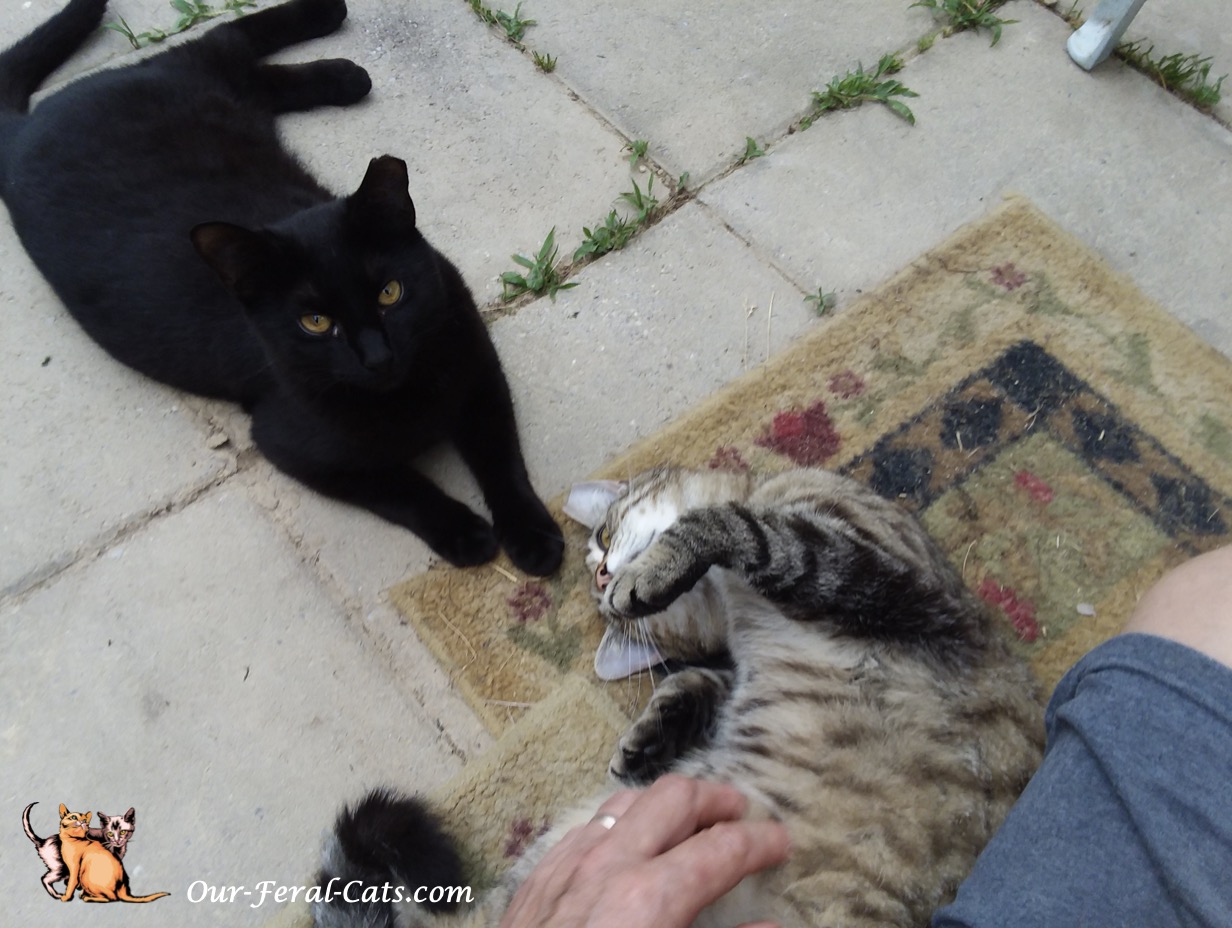  Little Man joined us 